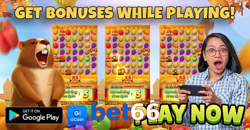 bet66