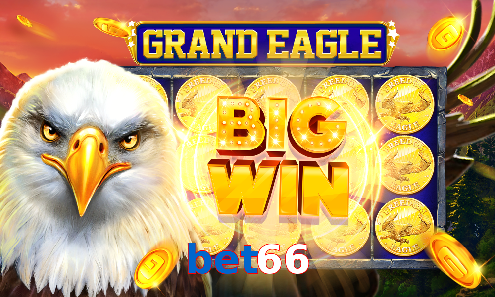 bet66