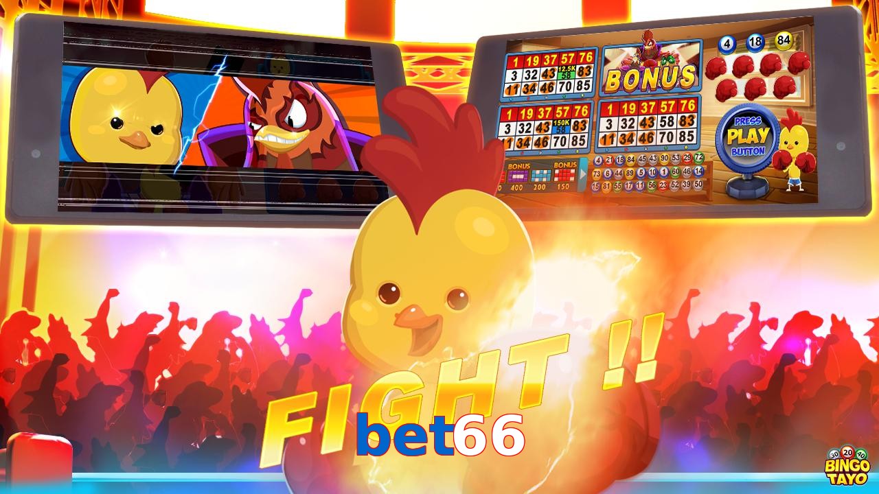 bet66