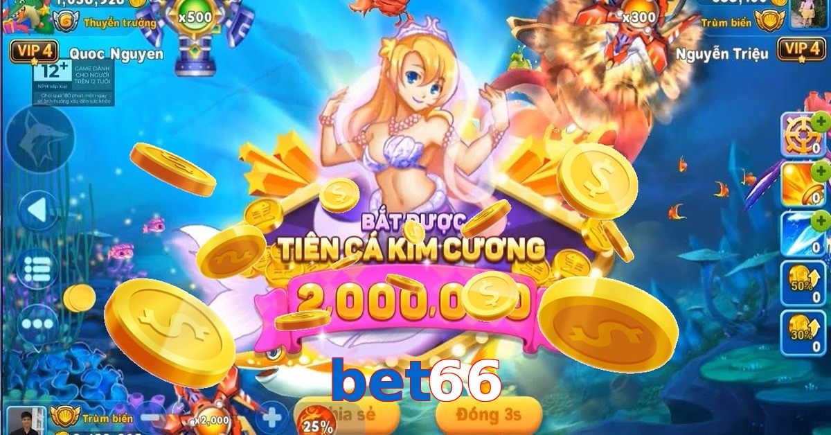 bet66
