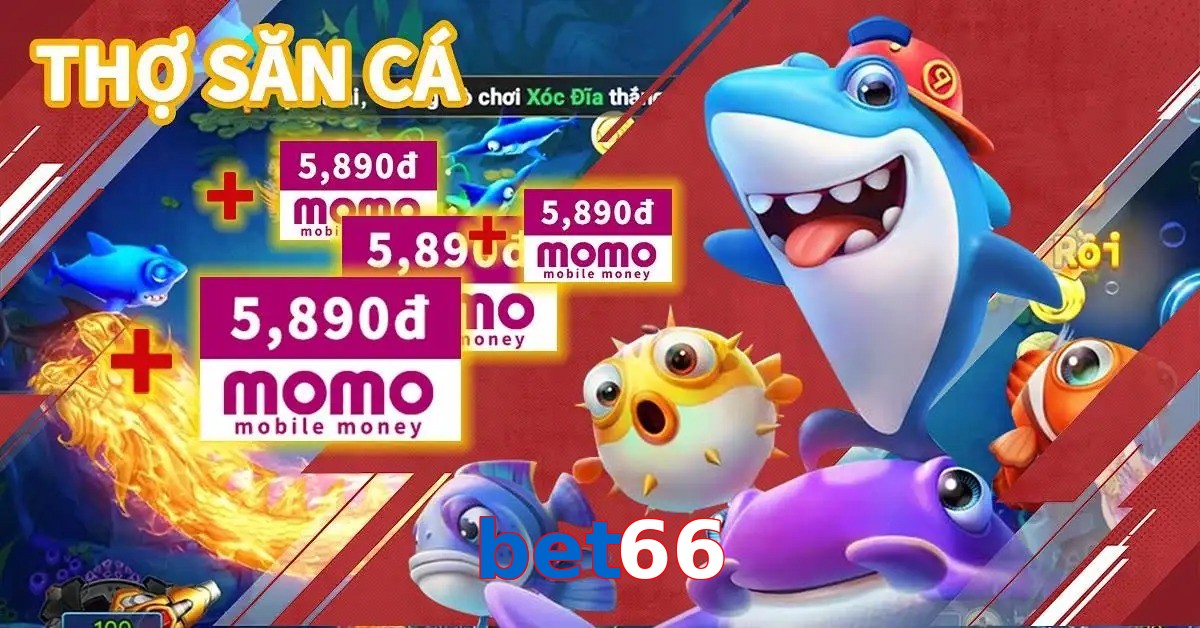 bet66