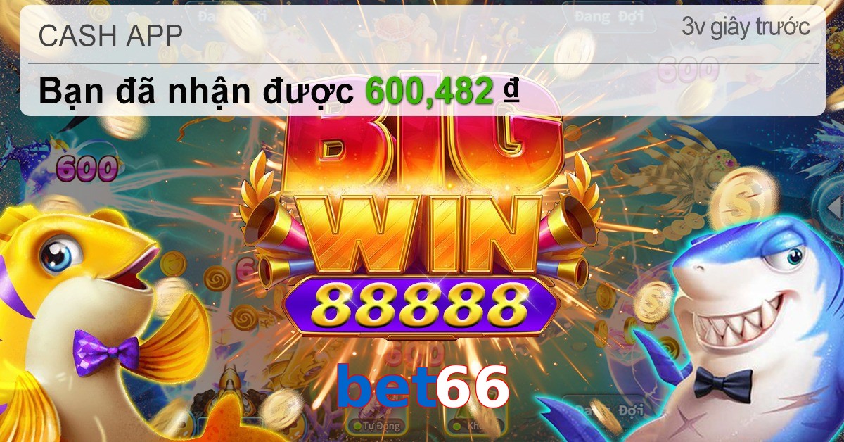 bet66