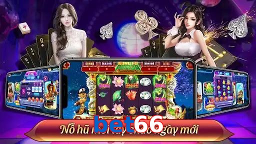 bet66