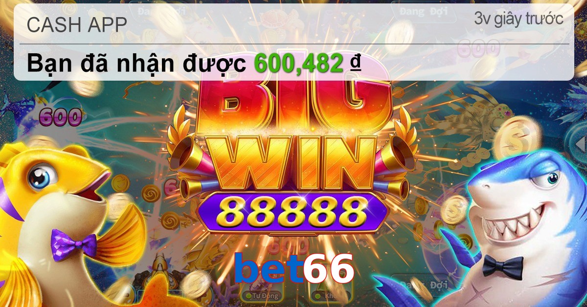 bet66