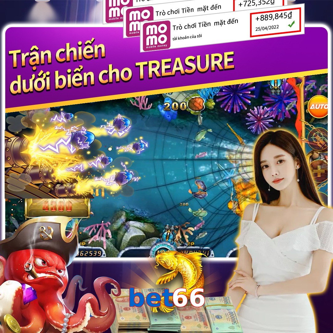 bet66